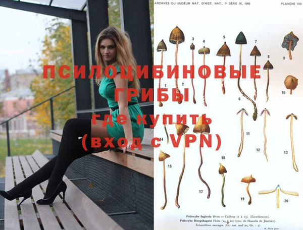 таблы Алексин